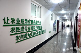 中國電子科技集團(tuán)消費(fèi)扶貧新舉措 采購清水農(nóng)產(chǎn)品助力鄉(xiāng)村振興，科技研發(fā)賦能農(nóng)業(yè)現(xiàn)代化