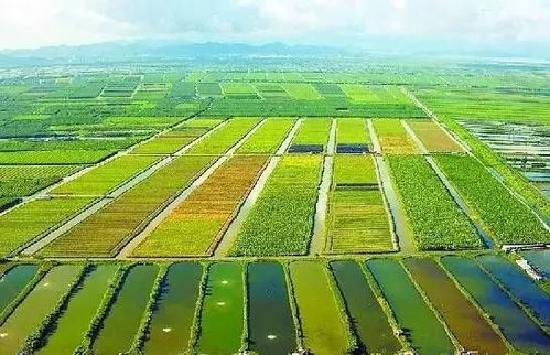 印度農(nóng)業(yè)現(xiàn)代化的挑戰(zhàn)與生態(tài)平衡的路徑探索