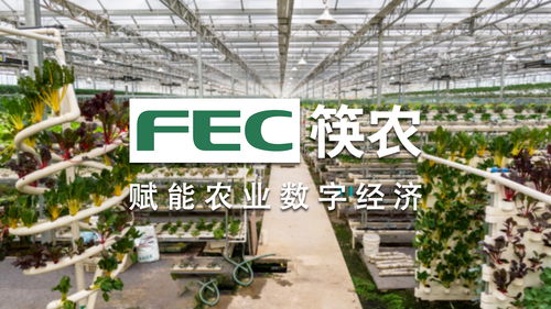 匠心獨(dú)運(yùn) FEC筷農(nóng)科技成就智慧農(nóng)批第一品牌