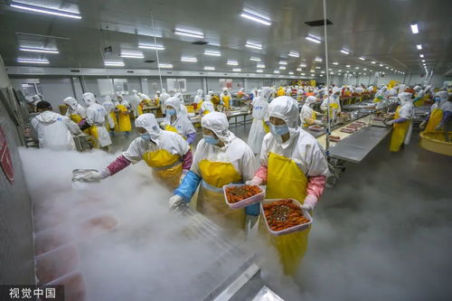 打1折的臨期食品，到底能不能吃？農(nóng)業(yè)科技研發(fā)給出答案